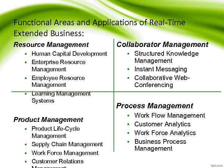 Functional Areas and Applications of Real-Time Extended Business: Resource Management Human Capital Development §