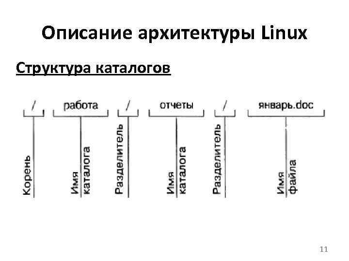 Описание архитектуры Linux Структура каталогов 11 