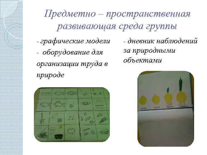 Предметно – пространственная развивающая среда группы - графические модели - дневник наблюдений - оборудование