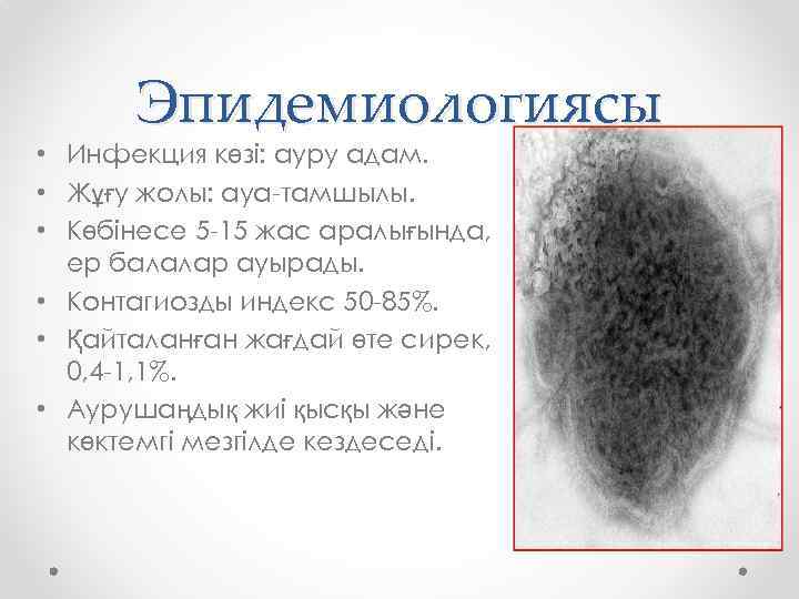 Эпидемиологиясы • Инфекция көзі: ауру адам. • Жұғу жолы: ауа-тамшылы. • Көбінесе 5 -15