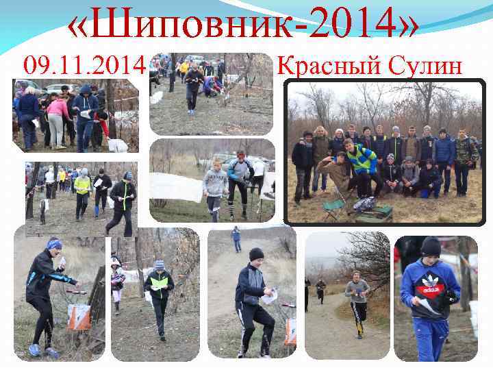  «Шиповник-2014» 09. 11. 2014 Красный Сулин 