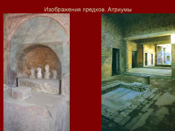 Изображения предков. Атриумы 