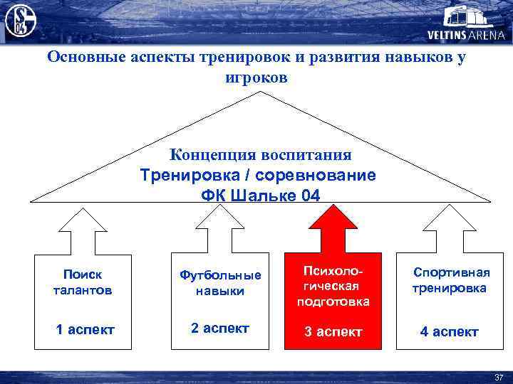 Основные аспекты тренировок и развития навыков у игроков Концепция воспитания Тренировка / соревнование ФК