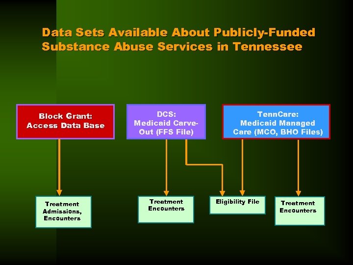 Data Sets Available About Publicly-Funded Substance Abuse Services in Tennessee Block Grant: Access Data
