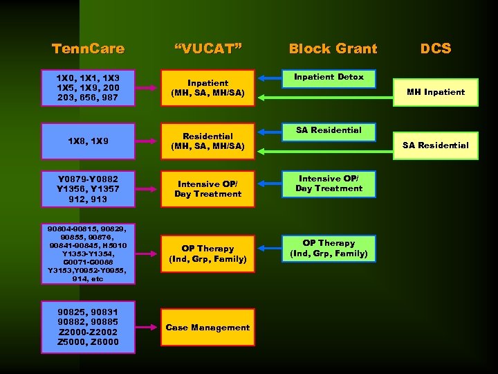 Tenn. Care “VUCAT” 1 X 0, 1 X 1, 1 X 3 1 X