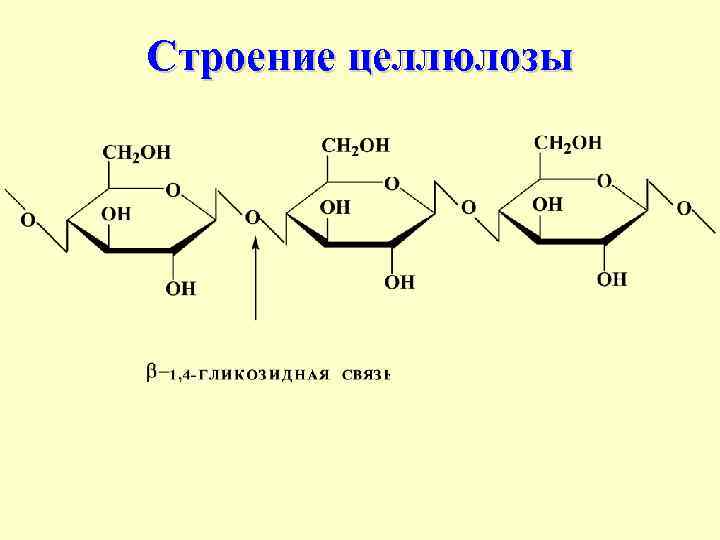 Целлюлоза представители. Строение макромолекулы целлюлозы. Строение целлюлозы формула. Клетчатка строение и свойства. Циклическое строение целлюлозы.