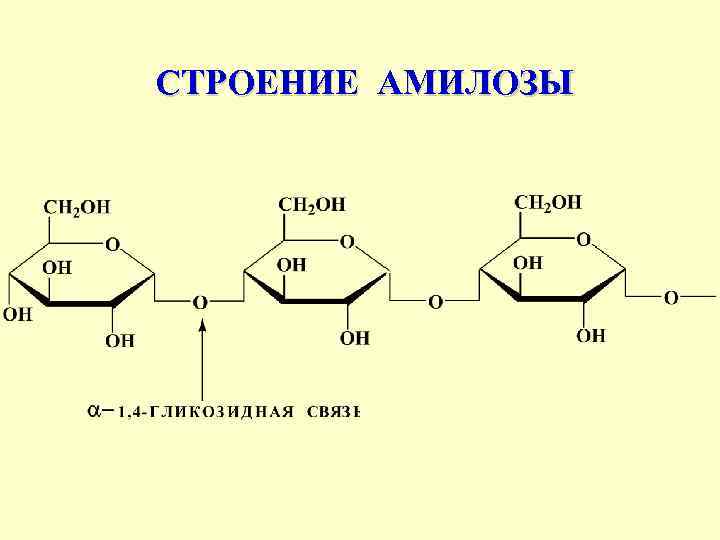  СТРОЕНИЕ АМИЛОЗЫ 