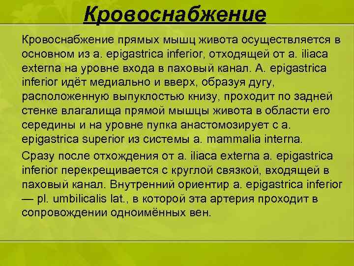 Кровоснабжение прямых мышц живота осуществляется в основном из a. epigastrica inferior, отходящей от a.
