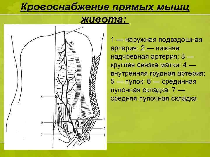 Доступы через переднюю брюшную стенку схема