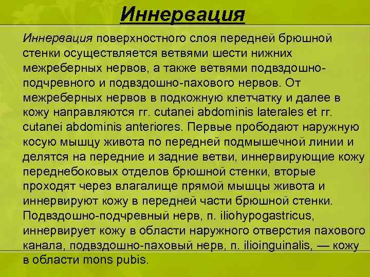 Иннервация поверхностного слоя передней брюшной стенки осуществляется ветвями шести нижних межреберных нервов, а также