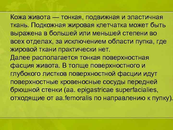 Кожа живота — тонкая, подвижная и эластичная ткань. Подкожная жировая клетчатка может быть выражена