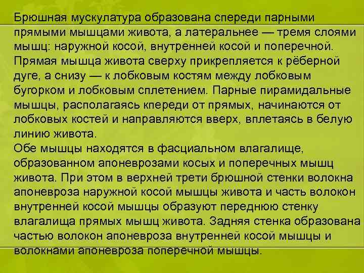 Брюшная мускулатура образована спереди парными прямыми мышцами живота, а латеральнее — тремя слоями мышц: