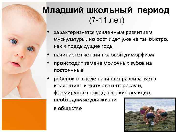 Младший школьный период (7 -11 лет) • характеризуется усиленным развитием мускулатуры, но рост идет