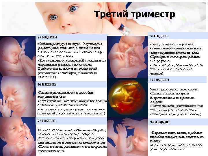 Третий триместр 24 НЕДЕЛИ 30 НЕДЕЛЬ Ребенок реагирует на звуки. Улучшаются рефлекторные движения, а