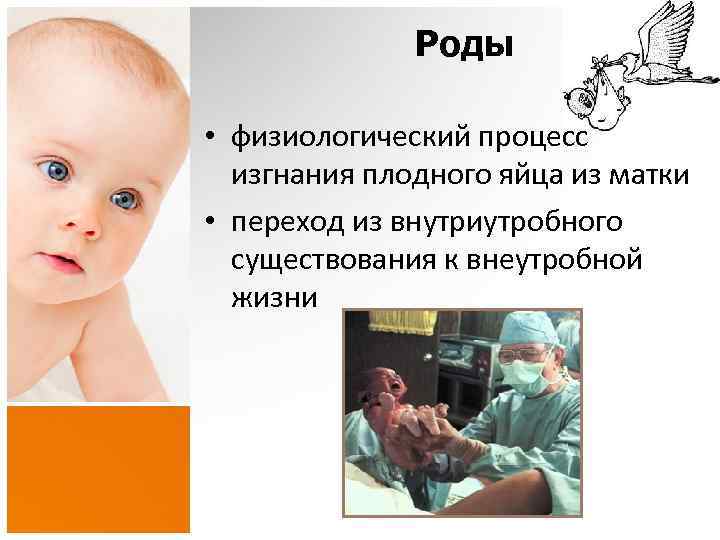 Роды • физиологический процесс изгнания плодного яйца из матки • переход из внутриутробного существования