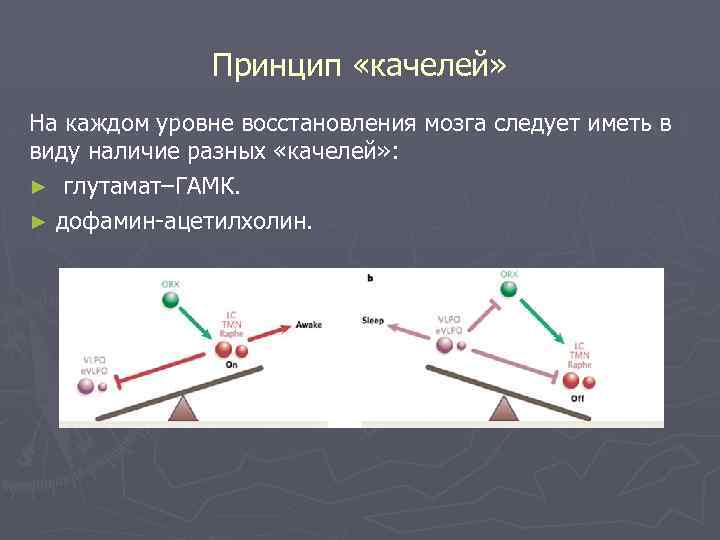 Принцип «качелей» На каждом уровне восстановления мозга следует иметь в виду наличие разных «качелей»