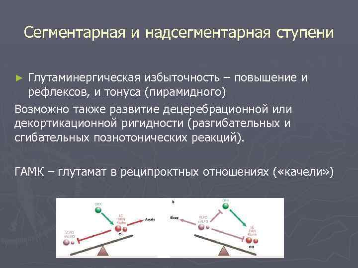 Сегментарная и надсегментарная ступени Глутаминергическая избыточность – повышение и рефлексов, и тонуса (пирамидного) Возможно