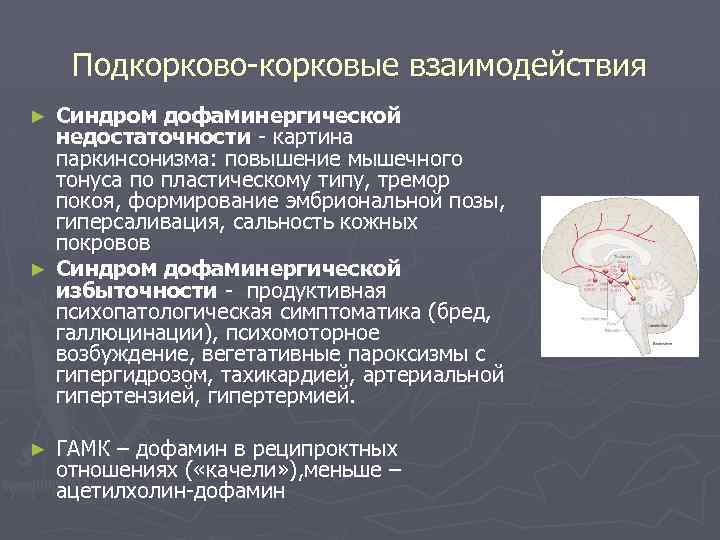 Подкорково-корковые взаимодействия Синдром дофаминергической недостаточности - картина паркинсонизма: повышение мышечного тонуса по пластическому типу,