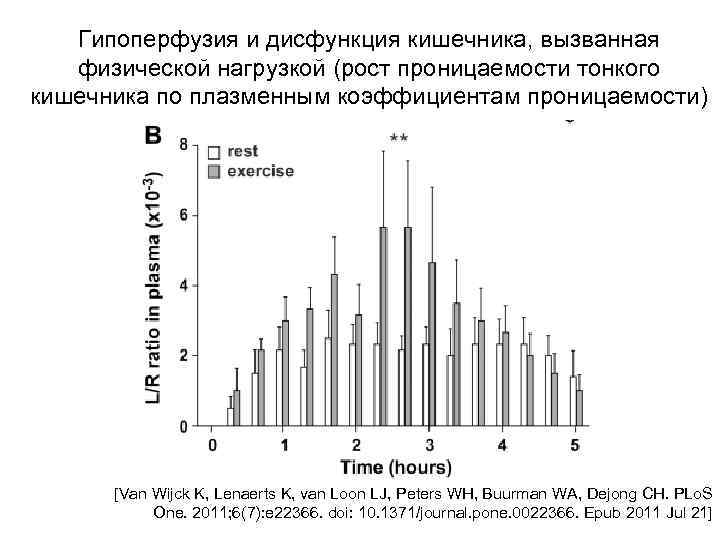 Гипоперфузия и дисфункция кишечника, вызванная физической нагрузкой (рост проницаемости тонкого кишечника по плазменным коэффициентам