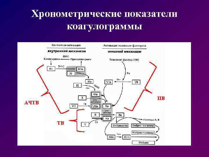 Хронометрические показатели коагулограммы ПВ АЧТВ ТВ 