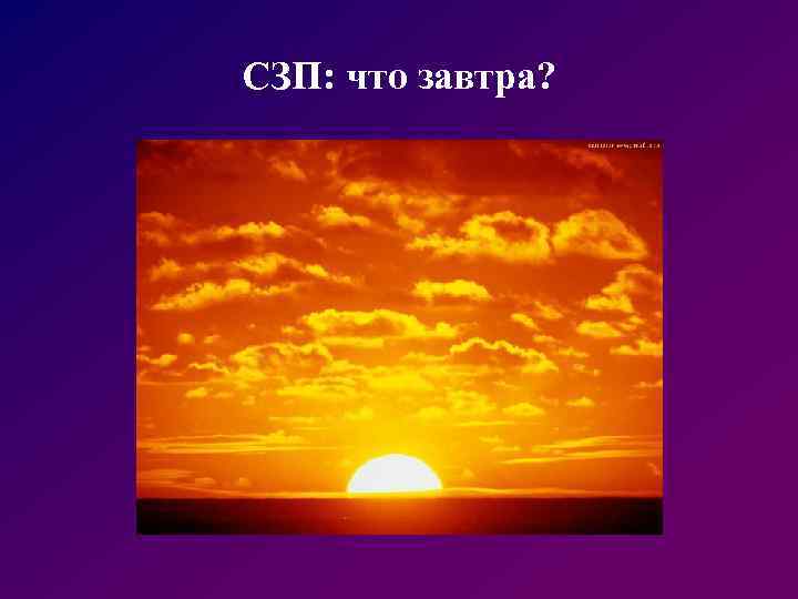 СЗП: что завтра? 