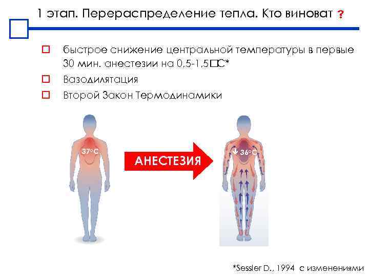 1 этап. Перераспределение тепла. Кто виноват o быстрое снижение центральной температуры в первые 30