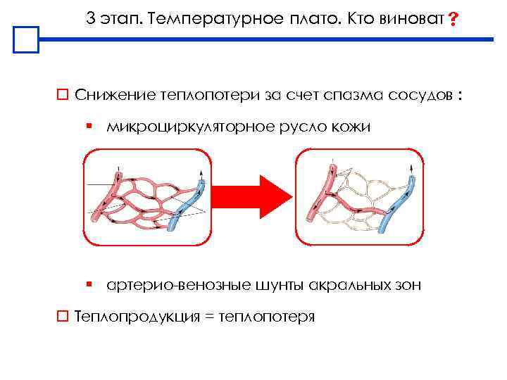 3 этап. Температурное плато. Кто виноват o Снижение теплопотери за счет спазма сосудов :
