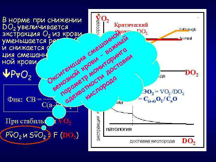  • VO 2 • При стабильном VO 2 Pv. O 2 и Sv.