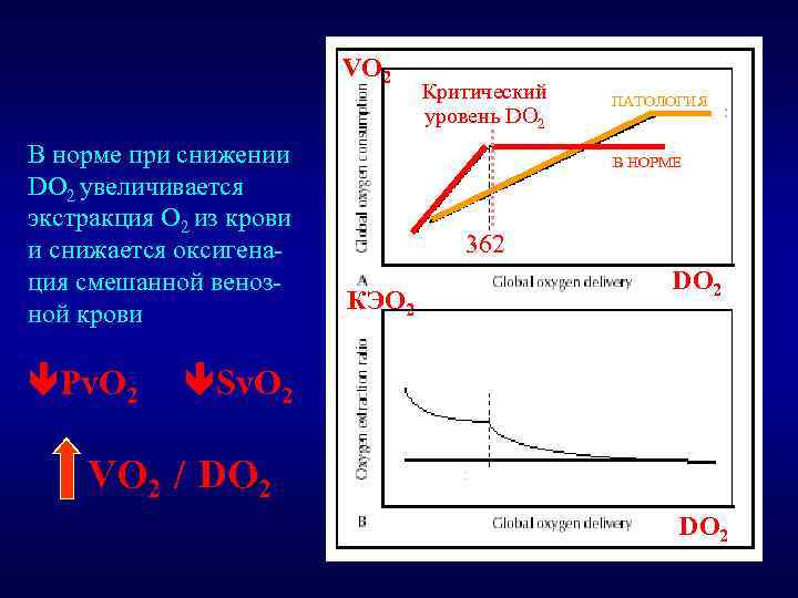 VO 2 В норме при снижении DO 2 увеличивается экстракция O 2 из крови