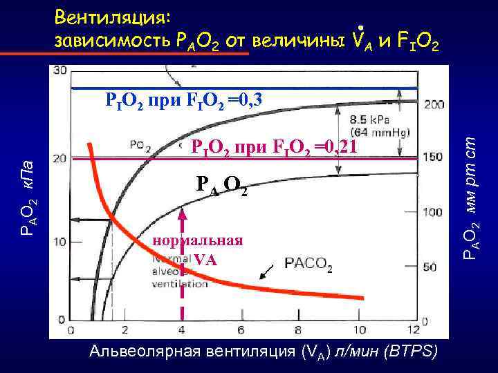 Вентиляция: зависимость PАO 2 от величины VA и FIO 2 PAO 2 к. Па