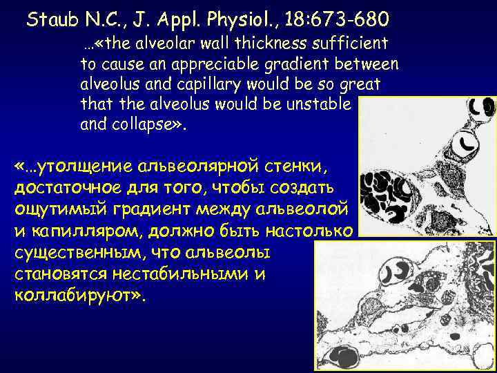 Staub N. C. , J. Appl. Physiol. , 18: 673 -680 … «the alveolar
