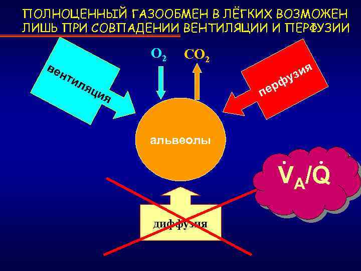 ПОЛНОЦЕННЫЙ ГАЗООБМЕН В ЛЁГКИХ ВОЗМОЖЕН ЛИШЬ ПРИ СОВПАДЕНИИ ВЕНТИЛЯЦИИ И ПЕРФУЗИИ ве О 2