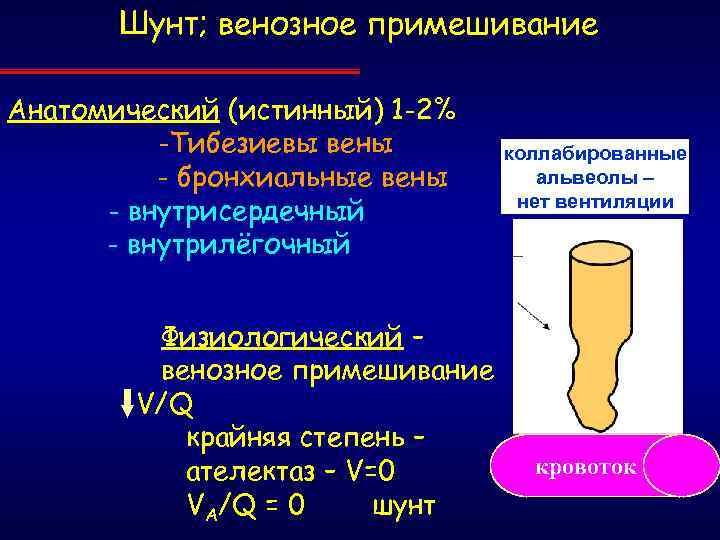 Шунт; венозное примешивание Анатомический (истинный) 1 -2% -Тибезиевы вены - бронхиальные вены - внутрисердечный