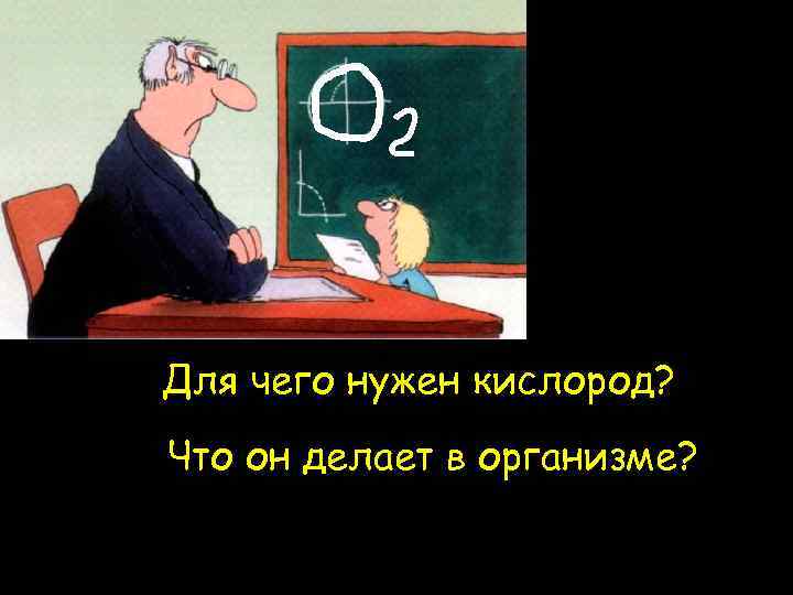 Для чего нужен кислород? Что он делает в организме? 