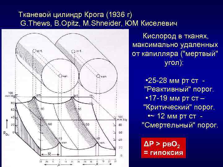Тканевой цилиндр Крога (1936 г) G. Thews, B. Opitz, M. Shneider, ЮМ Киселевич Кислород