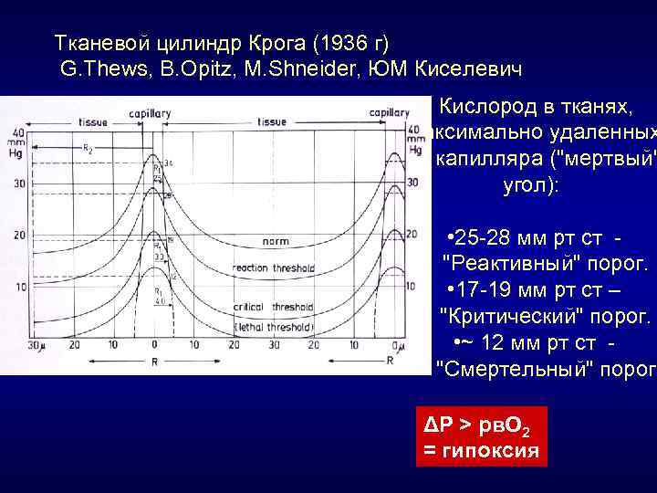 Тканевой цилиндр Крога (1936 г) G. Thews, B. Opitz, M. Shneider, ЮМ Киселевич Кислород