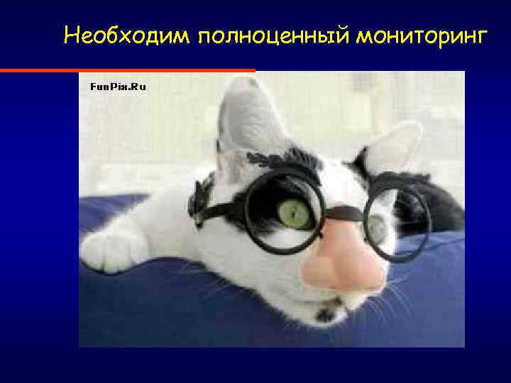Необходим полноценный мониторинг 