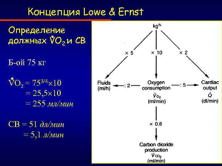 Концепция Lowe & Ernst Определение должных VO 2 и СВ Б-ой 75 кг VO