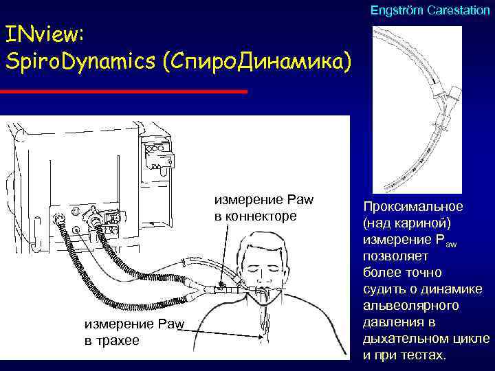Engström Carestation INview: Spiro. Dynamics (Спиро. Динамика) измерение Рaw в коннекторе измерение Рaw в