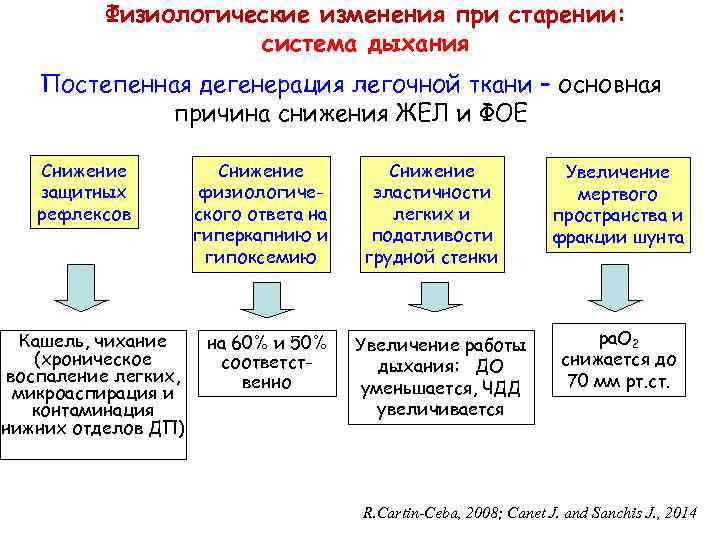 Физиологические изменения при старении: система дыхания Постепенная дегенерация легочной ткани – основная причина снижения