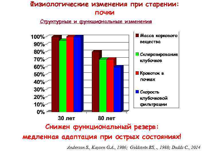 Физиологические изменения при старении: почки Структурные и функциональные изменения Снижен функциональный резерв: медленная адаптация