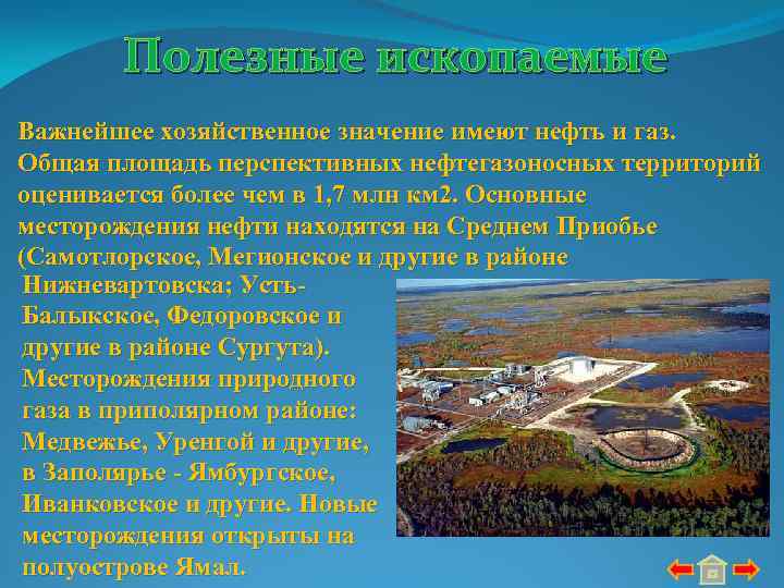 Полезные ископаемые Важнейшее хозяйственное значение имеют нефть и газ. Общая площадь перспективных нефтегазоносных территорий