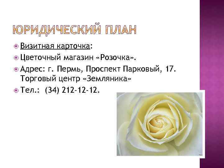  Визитная карточка: Цветочный магазин «Розочка» . Адрес: г. Пермь, Проспект Парковый, 17. Торговый