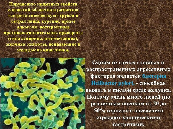 Нарушению защитных свойств слизистой оболочки и развитию гастрита способствуют грубая и острая пища, курение,