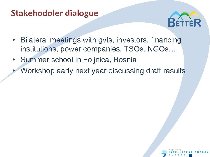 Stakehodoler dialogue • Bilateral meetings with gvts, investors, financing institutions, power companies, TSOs, NGOs…