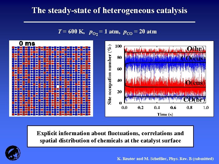 The steady-state of heterogeneous catalysis T = 600 K, p. O 2 = 1