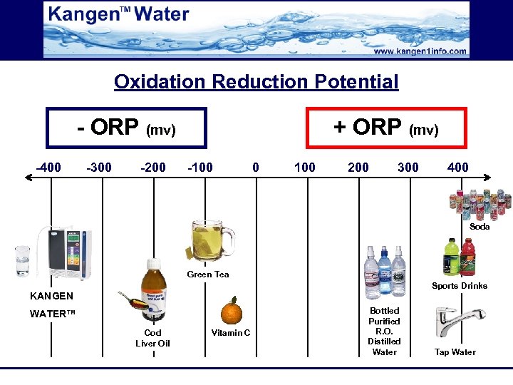 Oxidation Reduction Potential - ORP (mv) -400 -300 -200 + ORP (mv) -100 0