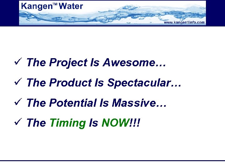 ü The Project Is Awesome… ü The Product Is Spectacular… ü The Potential Is