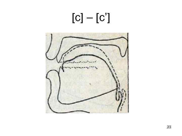 [с] – [с’] 23 