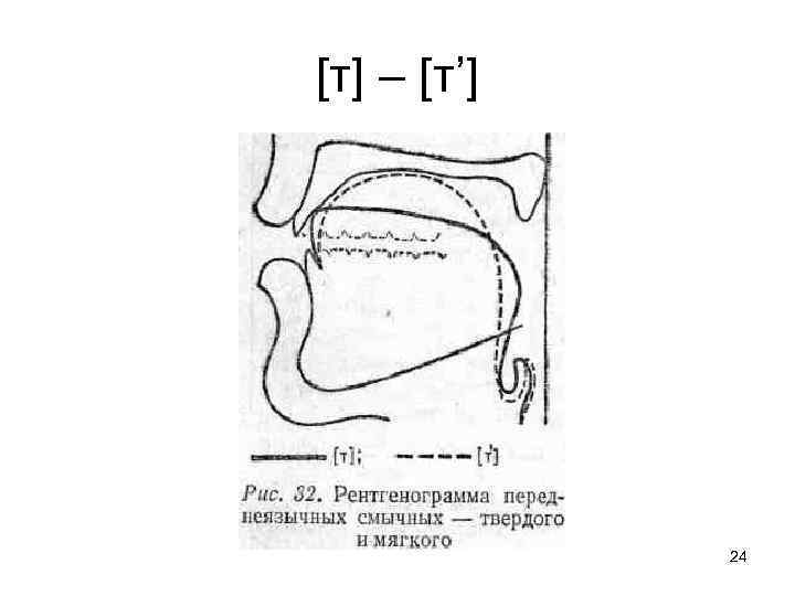 [т] – [т’] 24 